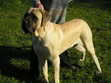 Aron z Údolí Raduňky